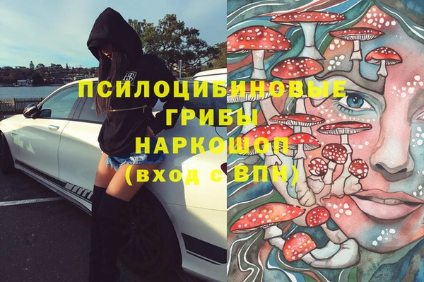 дмт Арсеньев