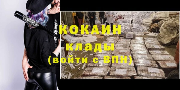 apvp Осинники