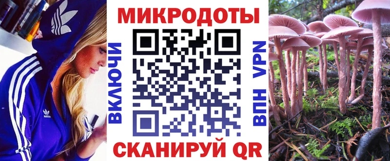 Псилоцибиновые грибы мицелий  где можно купить наркотик  Барыш 